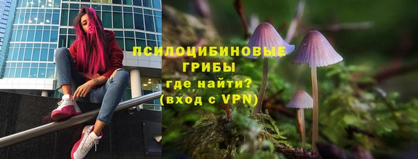 ешки Зеленокумск