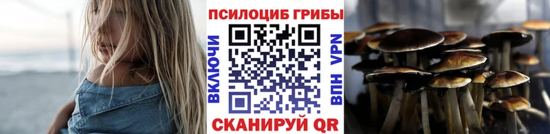 Купить закладки  Жуковка  Псилоцибиновые грибы ЛСД 